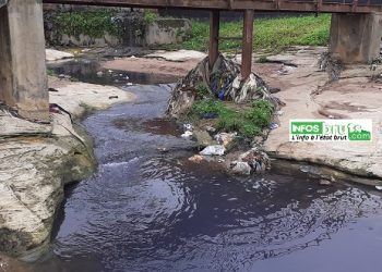 Kindia : la rivière qui longe la commune urbaine fortement menacée de disparition