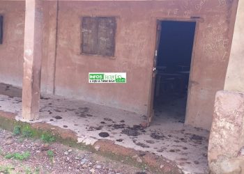 Collège Kollet (Tougué) : une infrastructure délabrée, abandonnée à la merci des animaux
