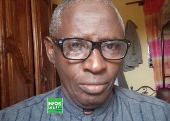 Journée internationale de l’Environnement à Labé : rareté de pluies entraînant des difficultés à reboiser