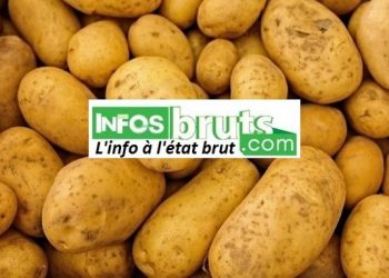 Hausse du prix de la pomme de terre à Labé : des vendeuses s&rsquo;expliquent
