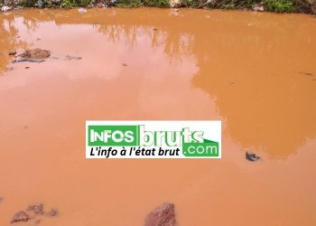 Implantation maisons d’habitation dans les zones marécageuses à Labé : routes impraticables, toilettes inaccessibles ou la dure réalité de Ndiolou