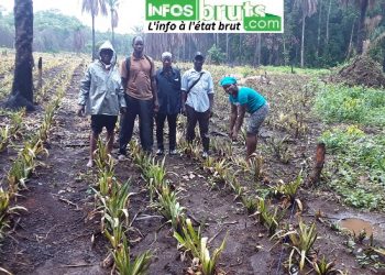 Boké: Contrôle du niveau d’avancement des projets financés par le fonds de développement économique local