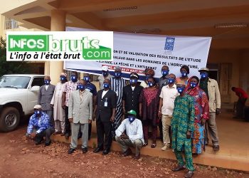 Boké : Validation des résultats de l’étude sur les filières et chaînes de valeur dans l’Agriculture, l’Elevage, la Pêche et l’Artisanat