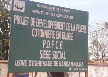 Kankan: Les travailleurs de l’usine de coton reclament deux mois de salaires impayés