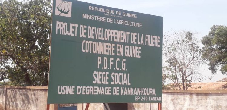 Kankan: Les travailleurs de l’usine de coton reclament deux mois de salaires impayés