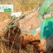 Lèfrani (Kankan) : Deux morts dans un accident de la circulation routière