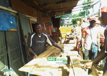 Levée de la suspension de la coupe du bois : à Labé, les professionnels du secteur saluent la décision du gouvernement