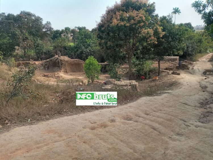 Companya (Labé): destruction massive des bordures de la rivière de Diawoya
