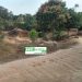 Companya (Labé): destruction massive des bordures de la rivière de Diawoya