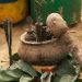Traitements miraculeux à Labé : un guérisseur nigérian soupçonné d’être arnaqueur (Témoignages)