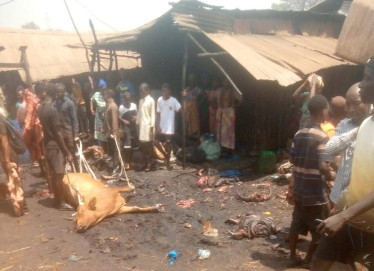 Fête de Ramadan en vue : les lieux de vente de bétail à Conakry, bourré de monde