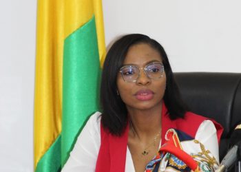 Conakry : le gouvernement guinéen valide le document d’évaluation de l’activité économique