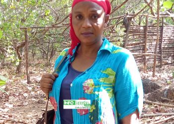 Femme et Développement à Boké : avec plus de 80 ha d’anacarde, Nassouroulaye Deen Chérif en quête de partenaires