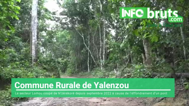 Yalenzou : le secteur Lomou coupé de N’zérékoré depuis septembre 2022, à cause de l’effondrement d’un pont (vidéo)