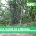 Yalenzou : le secteur Lomou coupé de N’zérékoré depuis septembre 2022, à cause de l’effondrement d’un pont (vidéo)