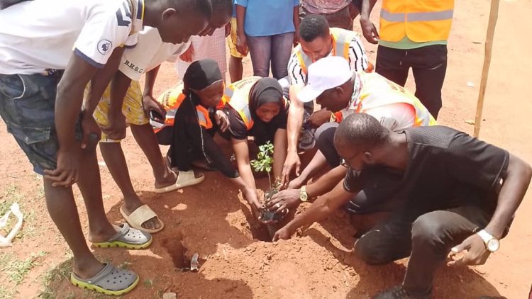 Kankan : campagne de reboisement initiée par la délégation communale de la jeunesse