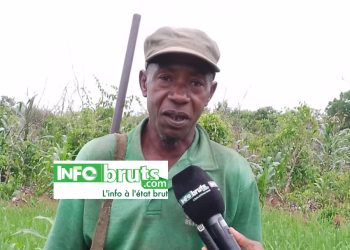 DABADOU (Kankan) : Koumba Mamadi Sidibé, un brave cultivateur aux maigres moyens