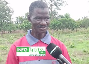 Kankan : le travail de la terre, un héritage pour le doyen Bily Nankouma Sidibé