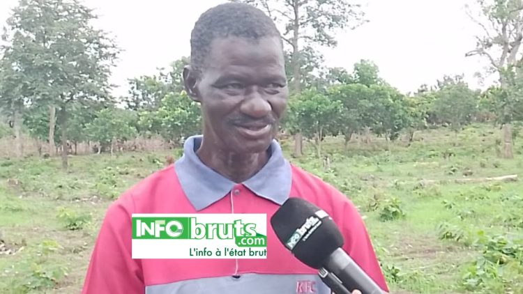 Kankan : le travail de la terre, un héritage pour le doyen Bily Nankouma Sidibé