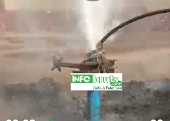 Boké : Le Mouvement Djama Djigui offre un forage au patriarche