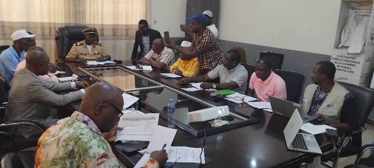 Vers la campagne de distributionVers la campagne de distribution des MILDA 2025 à Boké: 9 millions de Moustiquaires attendues