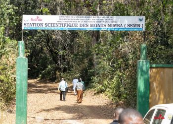 Station Scientifique des Monts Nimba (Lola) : Une base précieuse pour la recherche