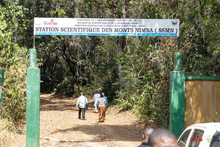 Station Scientifique des Monts Nimba (Lola) : Une base précieuse pour la recherche
