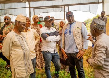 Sonfonia : Le président de la Chambre nationale d’Agriculture au chevet des femmes maraîchères