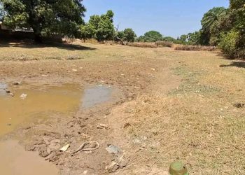 Rivière Wassa en péril à Kouroussa: l’urgence d’agir avant qu’il ne soit trop tard