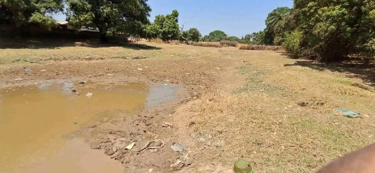 Rivière Wassa en péril à Kouroussa: l’urgence d’agir avant qu’il ne soit trop tard