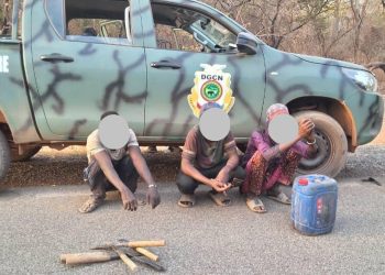 Opération de lutte contre la criminalité environnementale : 10 suspects interpellés au Parc National du Badiar