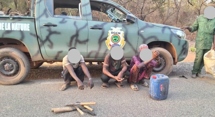 Opération de lutte contre la criminalité environnementale : 10 suspects interpellés au Parc National du Badiar