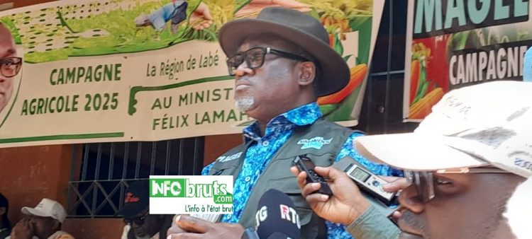 Lutte contre le charbon bactérien : Le ministre Félix Lamah lance la campagne nationale à Koubia
