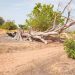 Inquiétudes à Sambaldé (Koundara) : L’exploitation anarchique des carrières de sable menace l’écosystème et les habitants