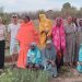 Sorondo (Labé) : La ferme agroécologique de Solidarité Suisse-Guinée, un modèle d’autonomisation des femmes rurales