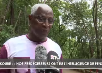 Protection de l’environnement : le Premier ministre Bah Oury annonce la création de nouvelles forêts classées le long du fleuve Konkouré