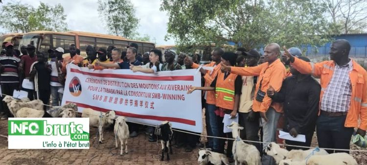 Vers la Tabaski : le Consortium SMB-Winning offre 303 moutons à 275 villages de Boké et Télimélé