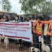 Vers la Tabaski : le Consortium SMB-Winning offre 303 moutons à 275 villages de Boké et Télimélé