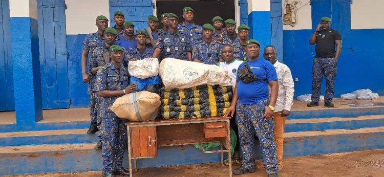 Boké : 64 kg de chanvre indien saisis par la Gendarmerie Territoriale à Yomboya