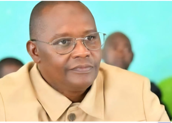 Démission de Dr Ismaël Doukouré : une déclaration du CNJ-UFDG aux allures de manœuvre politique ?