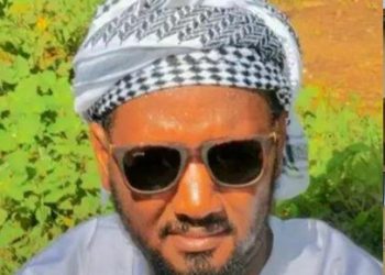 Guinée : faut-il laisser les partis politiques défier la République ?