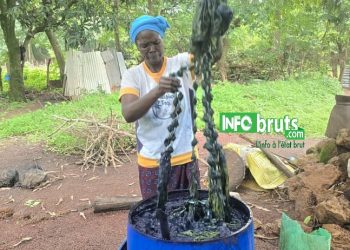 Labé : Nenan Fatoumata Binta Diallo, une teinturière engagée malgré les défis du métier