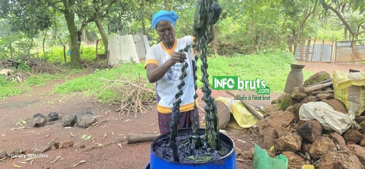 Labé : Nenan Fatoumata Binta Diallo, une teinturière engagée malgré les défis du métier