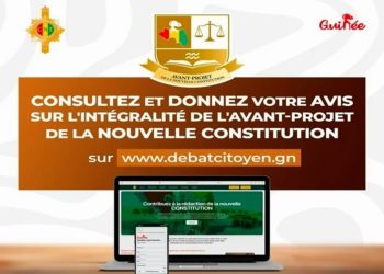 Constitution : Les faux prophètes de l’apocalypse