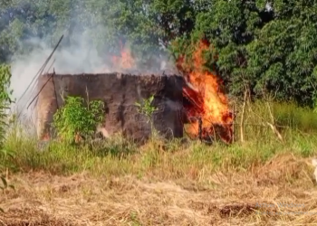 Incendies mystérieux à Sélya dans Kansagui (Tougué): panique, désolation et appel à la solidarité