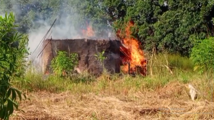 Incendies mystérieux à Sélya dans Kansagui (Tougué): panique, désolation et appel à la solidarité