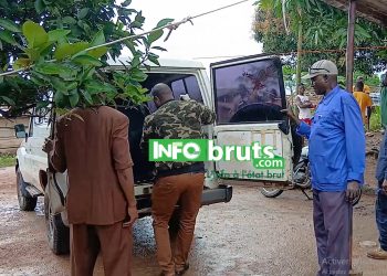 Drame passionnel à Nyè Sokoura : Un jeune homme se pends après avoir grièvement blessé sa prétendante