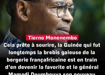 Doumbouya, le « nouveau Bokassa » ? Quelle comparaison savoureuse ! (Par Chérif Sampiring Diallo, Journaliste, Éditorialiste, Écrivain, Essayiste)