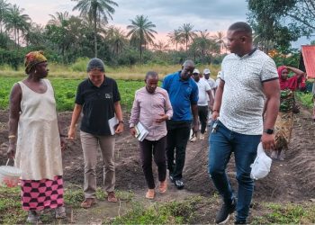 Boké : Une mission de la JICA évalue la mise en œuvre de l’approche SHEP-Guinée dans les groupements maraîchers de Missira et Gogoriah