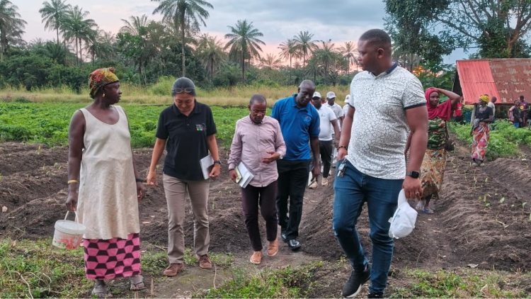 Boké : Une mission de la JICA évalue la mise en œuvre de l’approche SHEP-Guinée dans les groupements maraîchers de Missira et Gogoriah